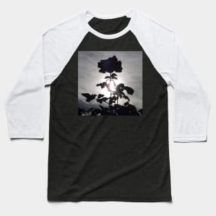 Rose silhouette Baseball T-Shirt